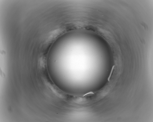 X0000091100768200708131106