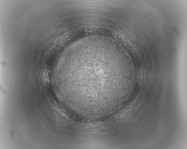 X0000091100770200708131105