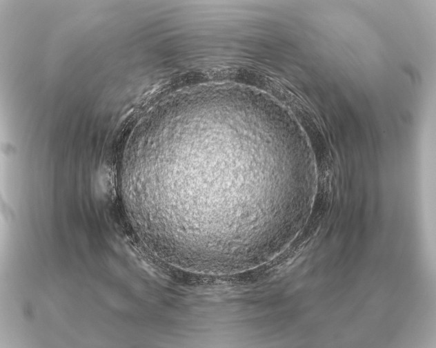 X0000091100772200708131105