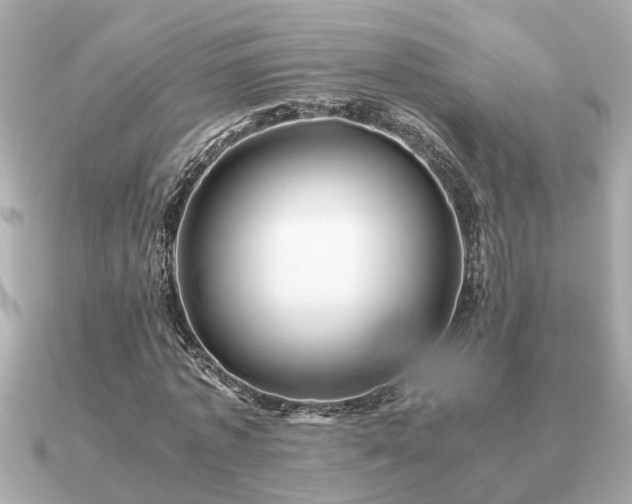 X0000091100773200708131105