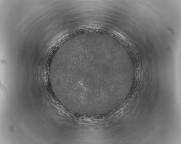 X0000091100774200708131105