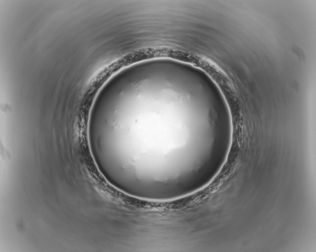 X0000091100775200708131105