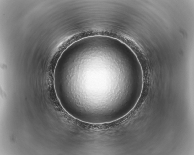 X0000091100776200708131105