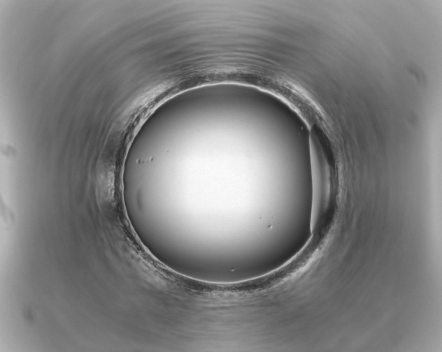 X0000091100777200708131105