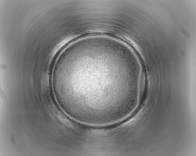 X0000091100779200708131105