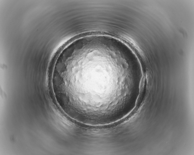 X0000091100780200708131105