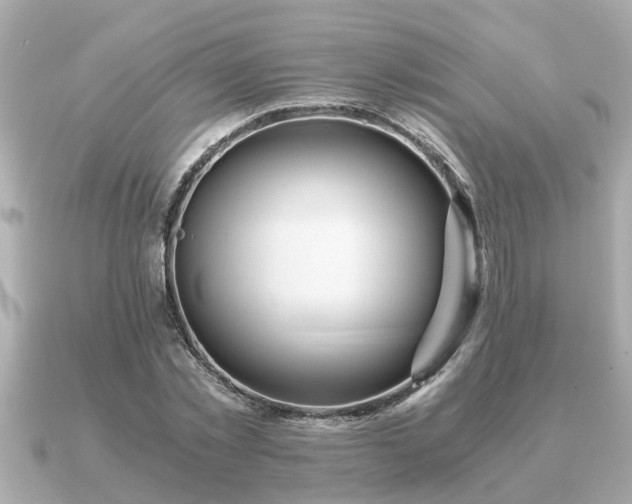 X0000091100781200708131105