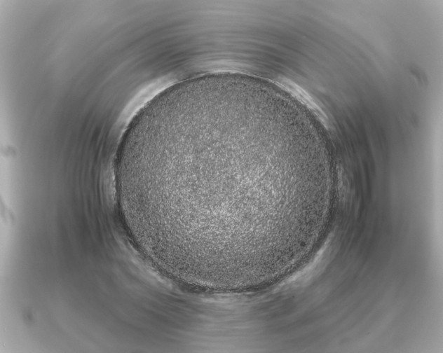 X0000091100782200708131105