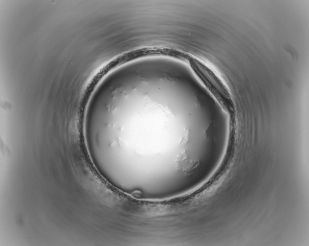 X0000091100783200708131105