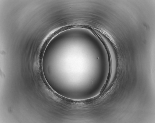 X0000091100784200708131105