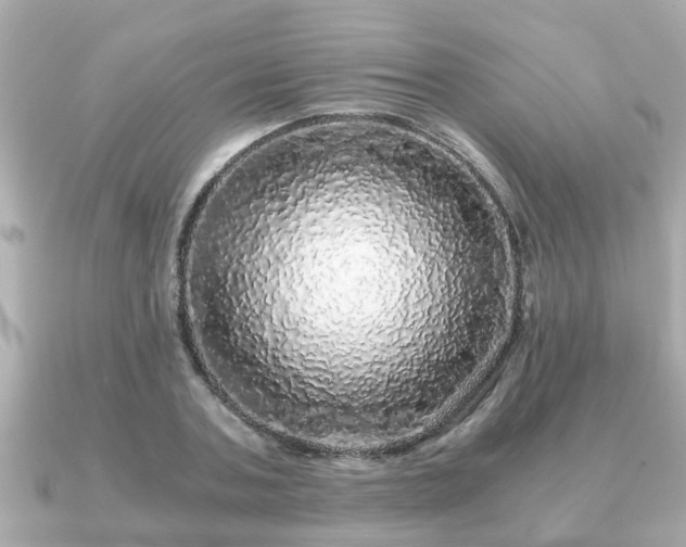 X0000091100787200708131105