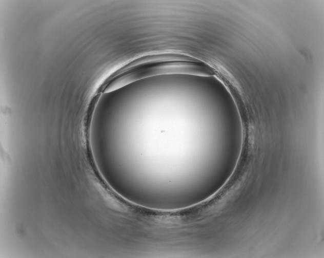 X0000091100789200708131105