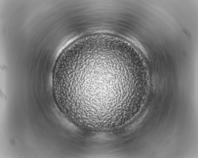 X0000091100790200708131105