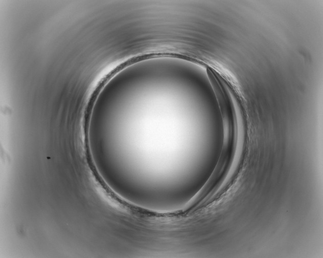 X0000091100792200708131105