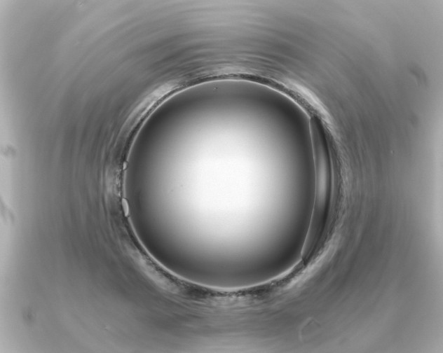 X0000091100793200708131105