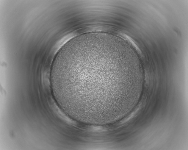 X0000091100794200708131105