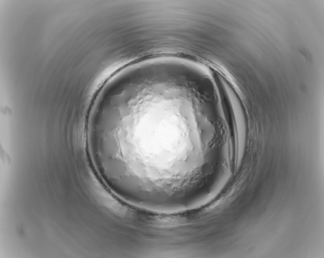 X0000091100795200708131105