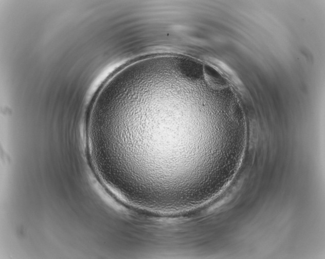 X0000091100796200708131105