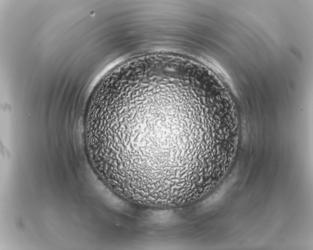 X0000091100798200708131105