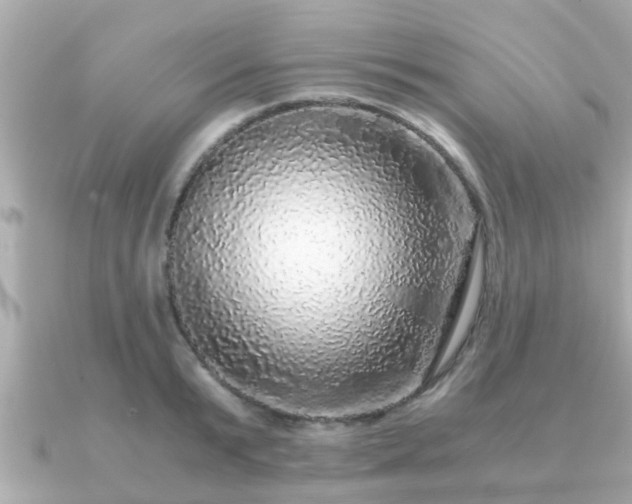 X0000091100799200708131105