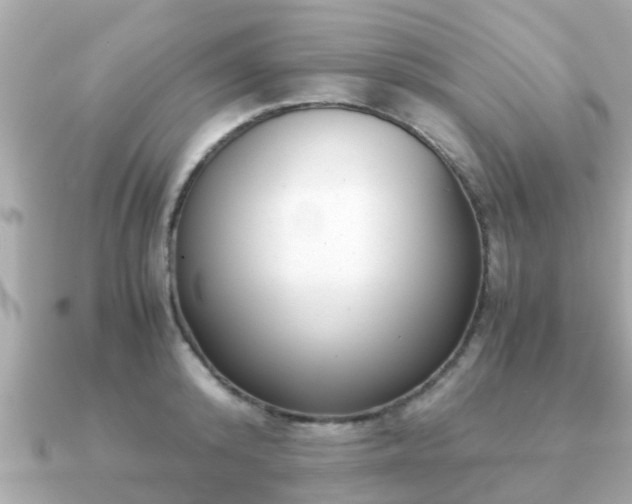 X0000091100800200708131105