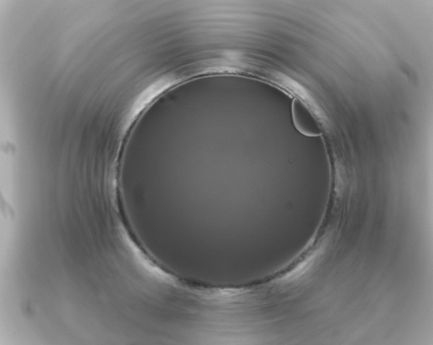 X0000091100802200708131105