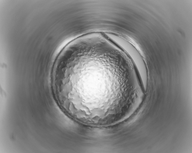 X0000091100803200708131105