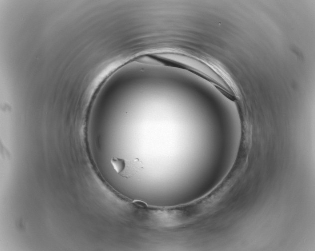 X0000091100805200708131105