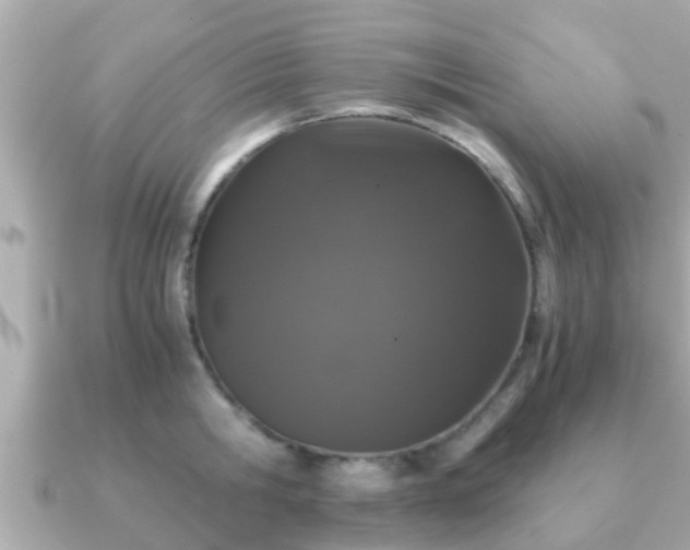 X0000091100806200708131105