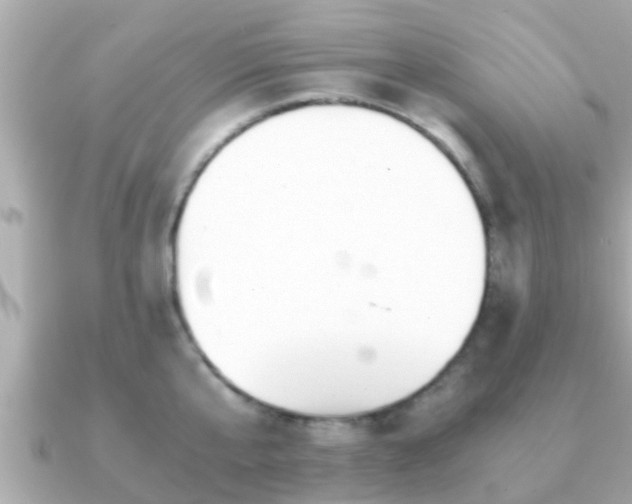 X0000091100807200708131105