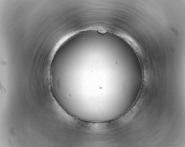 X0000091100808200708131105