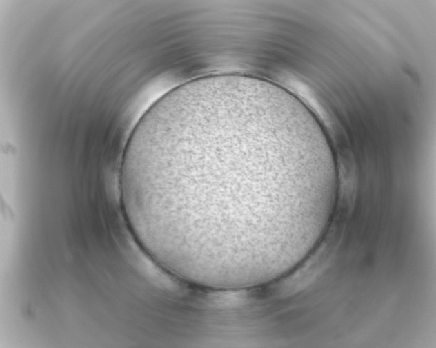 X0000091100810200708131105