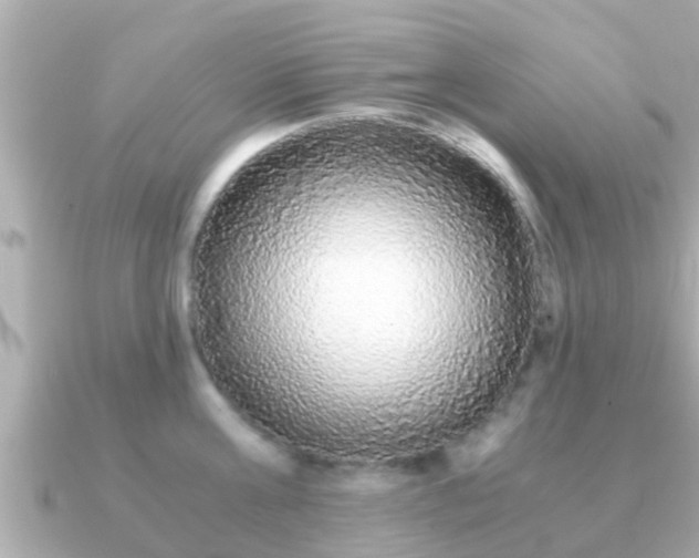 X0000091100811200708131105