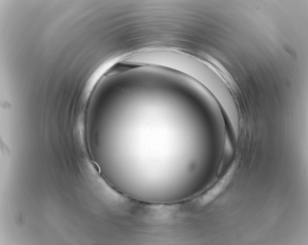 X0000091100812200708131105