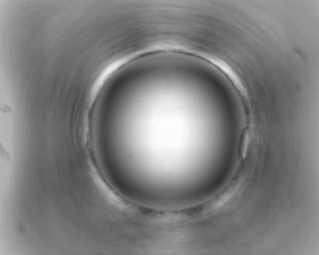 X0000091100815200708131105