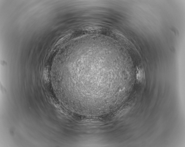 X0000091100819200708131104