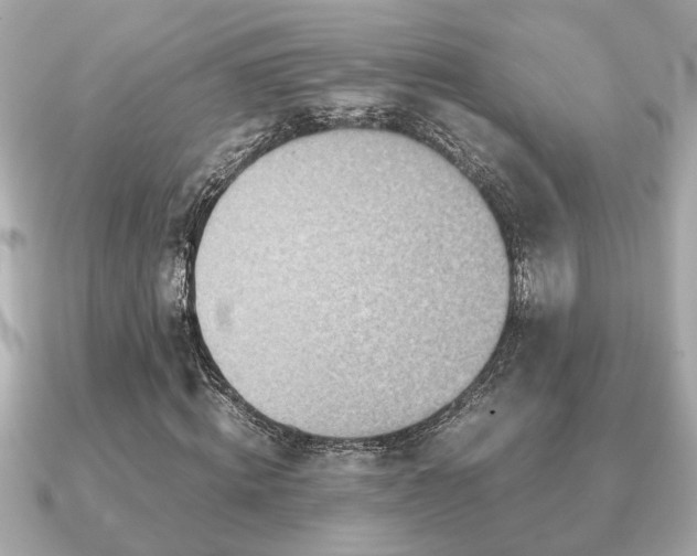 X0000091100820200708131104