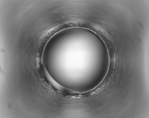 X0000091100822200708131104