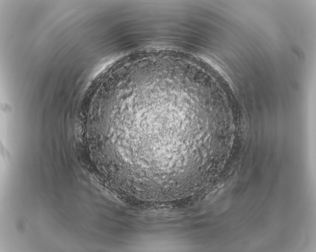 X0000091100823200708131104