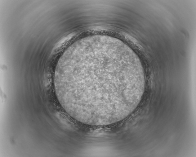 X0000091100824200708131104