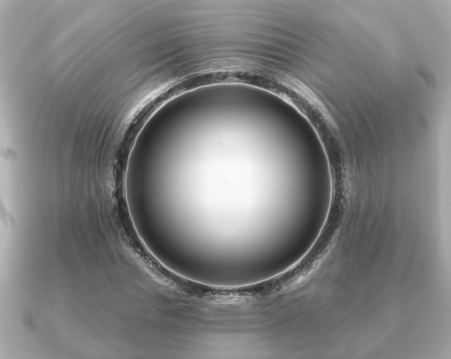 X0000091100826200708131104