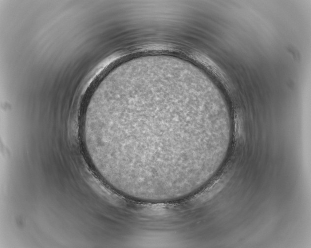 X0000091100828200708131104