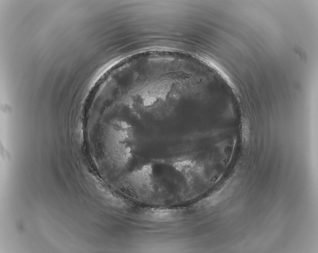 X0000091100829200708131104