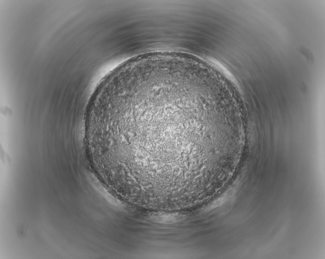 X0000091100831200708131104