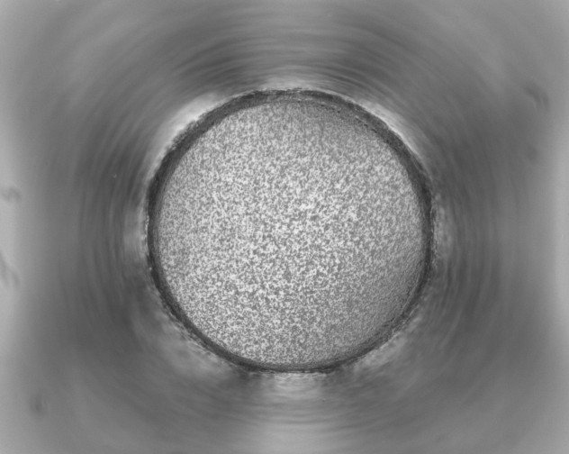 X0000091100832200708131104