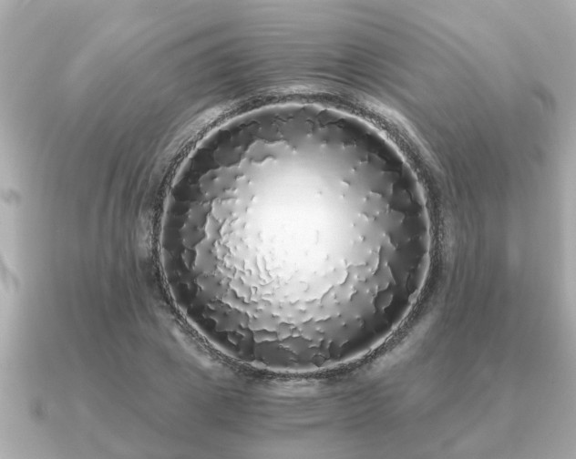 X0000091100833200708131104