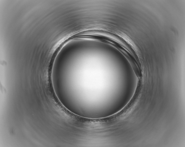 X0000091100834200708131104