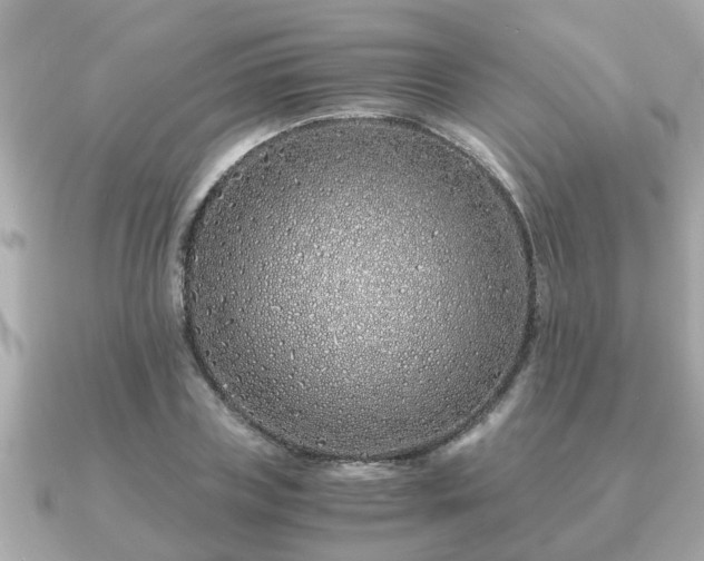 X0000091100835200708131104