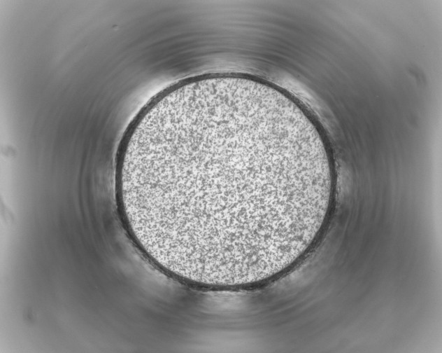 X0000091100836200708131104