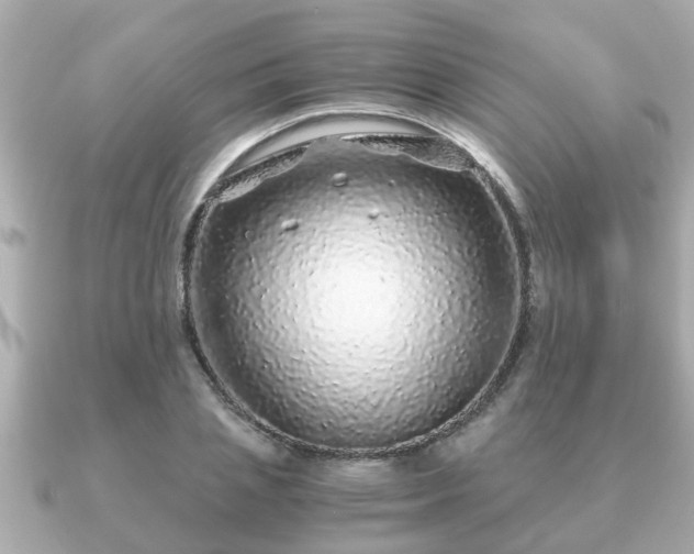 X0000091100837200708131104